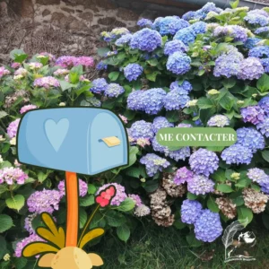Dessin de boîte aux lettres figurative posée devant un massif fleuri d’hortensias – illustration photo de la page de contact de Dominique Bigotte, Voix de Plume